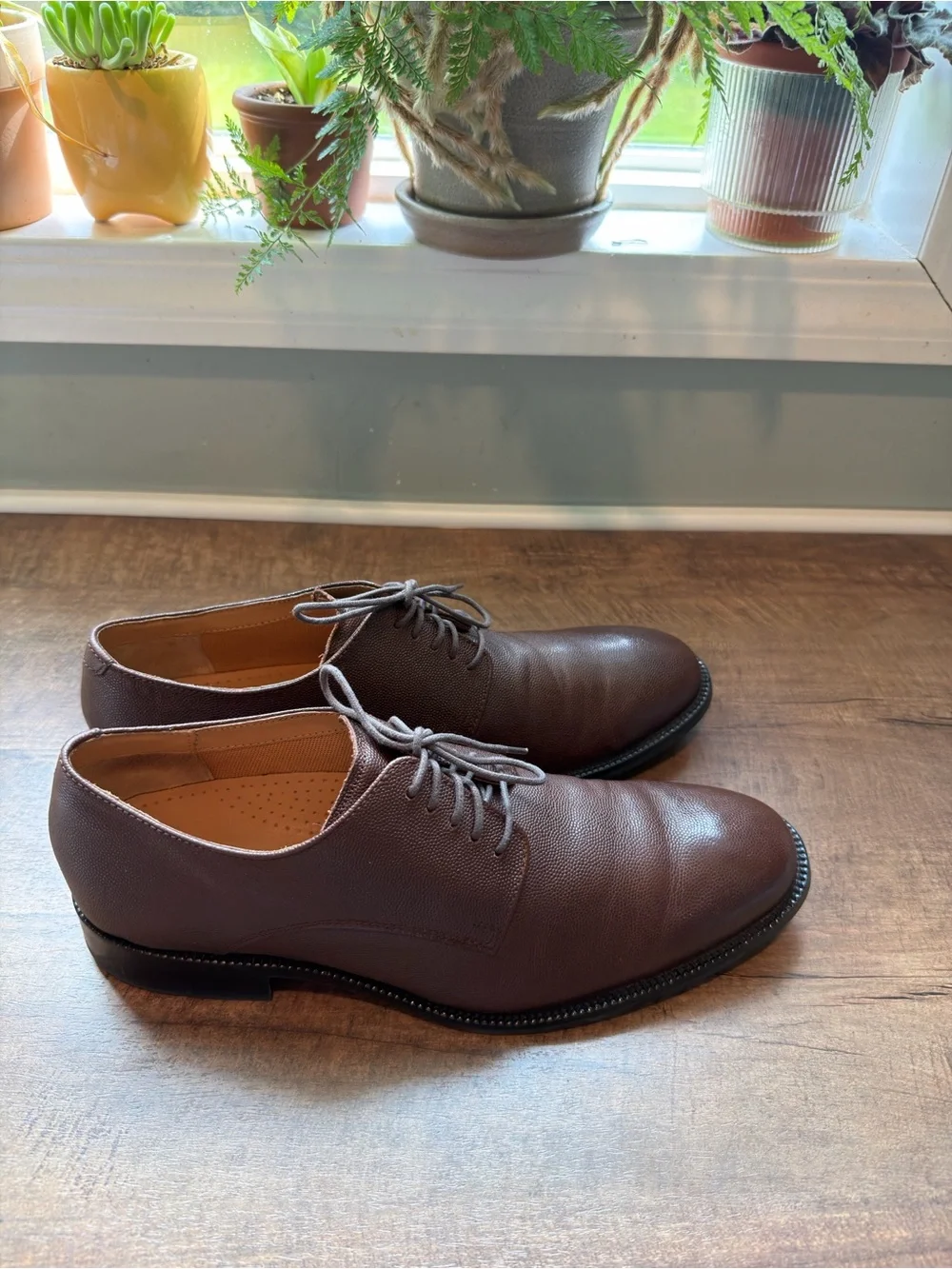 Cole Haan Men's Brown Leather Derby Shoes - Grained Lace-Up 9
